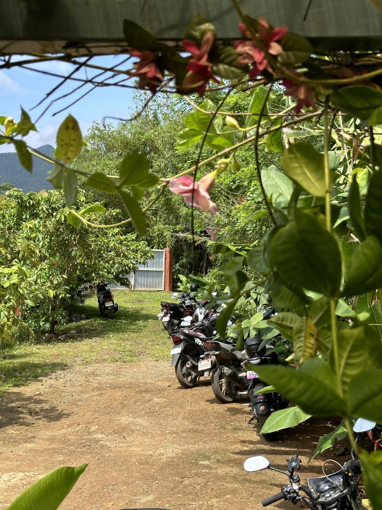 Banlaw Garden Resort Puerto Princesa Extérieur photo